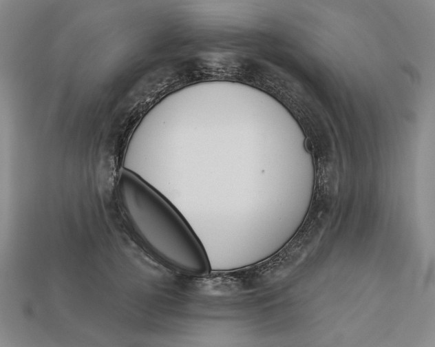 X0000112910752200909141251