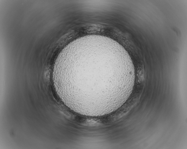 X0000112910753200909141251