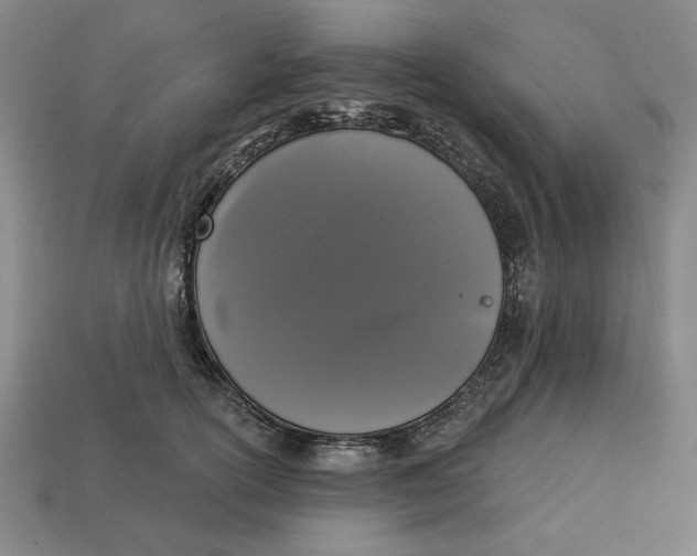 X0000112910754200909141251