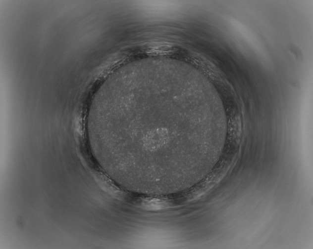 X0000112910755200909141251