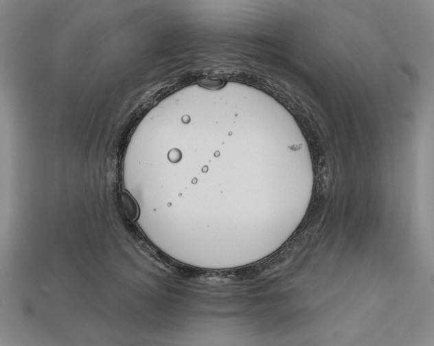 X0000112910756200909141251