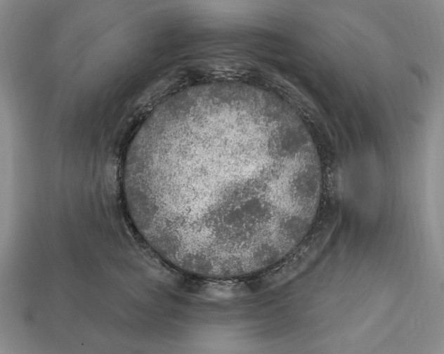 X0000112910757200909141251