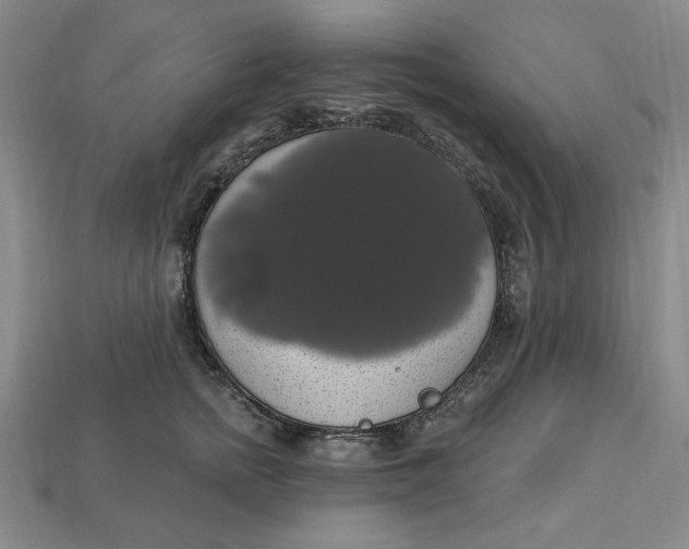 X0000112910758200909141251