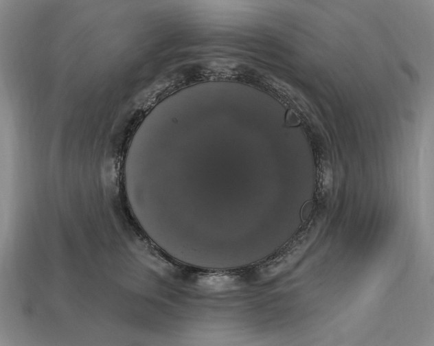 X0000112910759200909141251