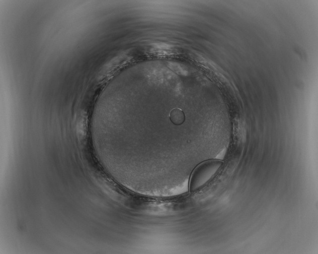 X0000112910760200909141251