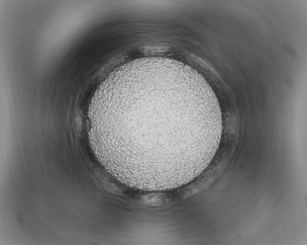 X0000112910761200909141251