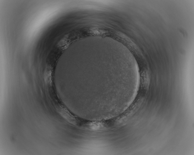 X0000112910762200909141251