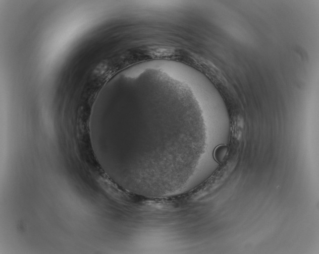 X0000112910763200909141251