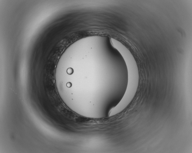 X0000112910764200909141251