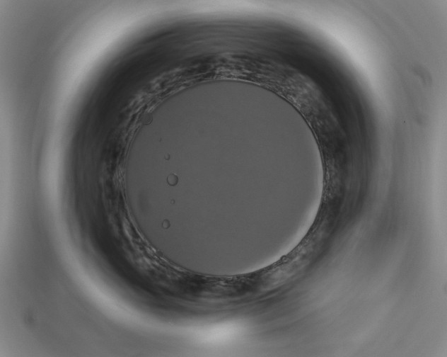 X0000112910765200909141251