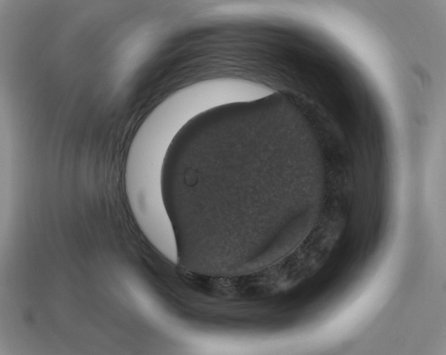 X0000112910766200909141251