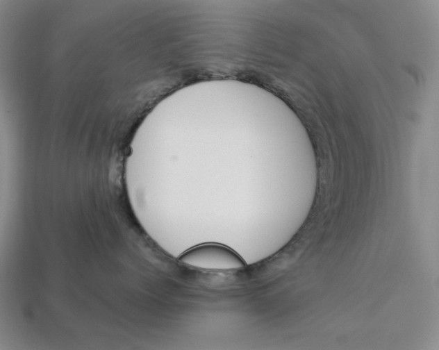 X0000112910768200909141251