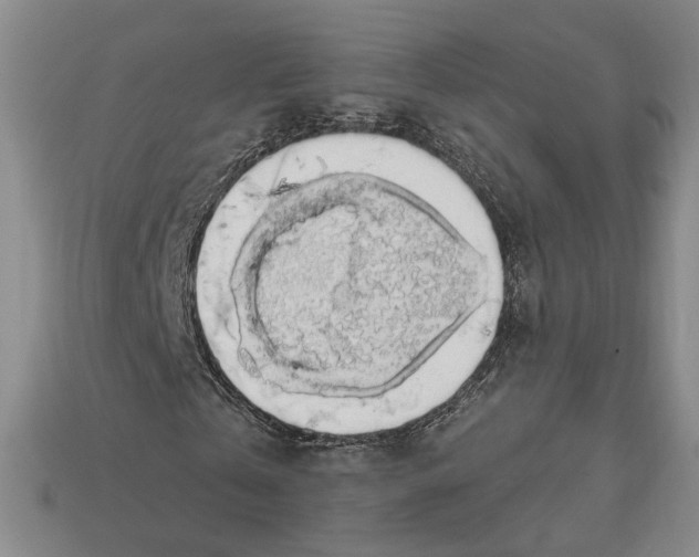 X0000112910769200909141250