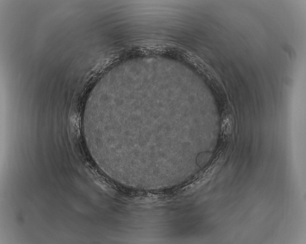 X0000112910772200909141250