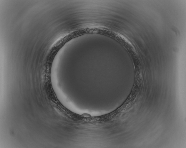 X0000112910775200909141250