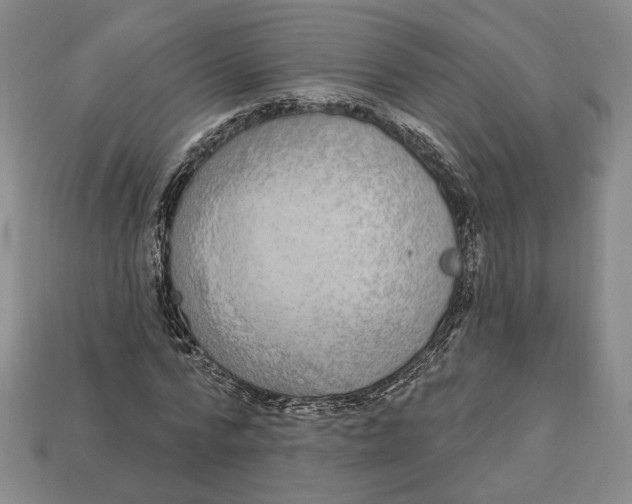 X0000112910776200909141250