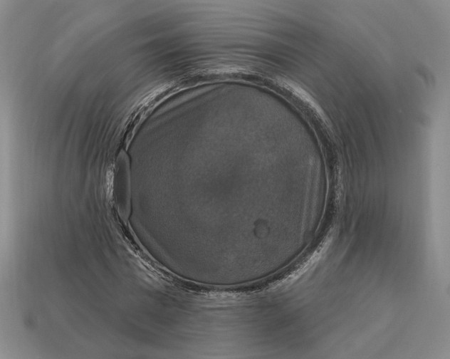 X0000112910777200909141250