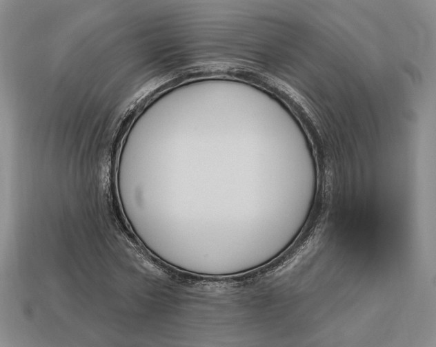 X0000112910778200909141250