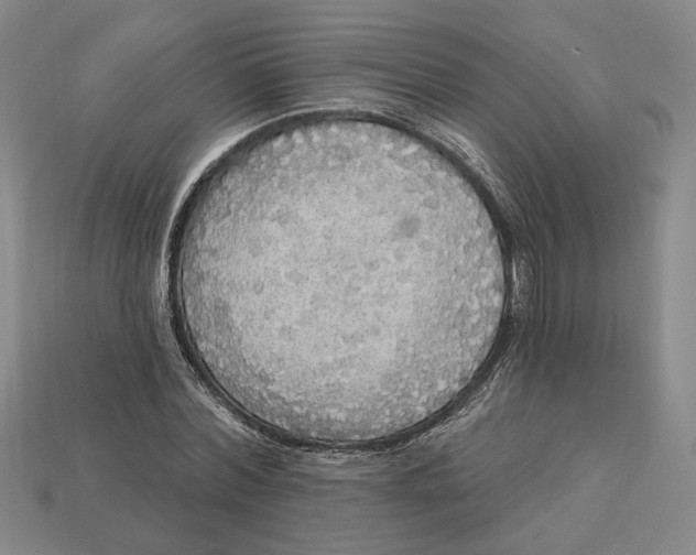 X0000112910780200909141250