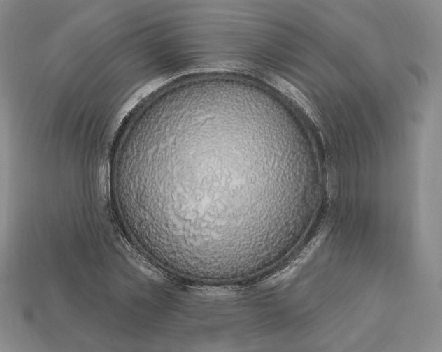 X0000112910781200909141250