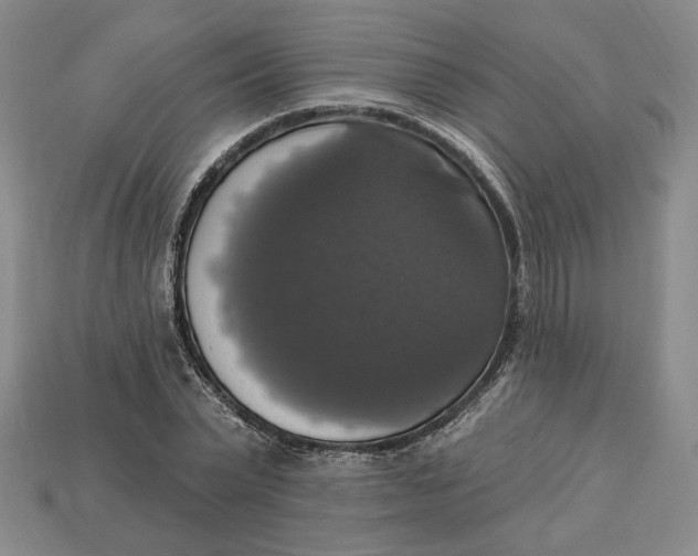 X0000112910783200909141250