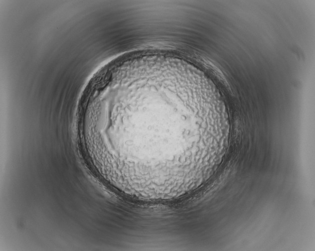 X0000112910784200909141250