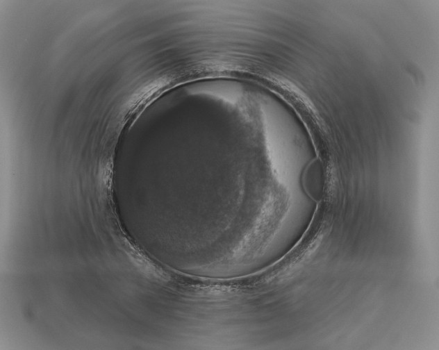 X0000112910785200909141250