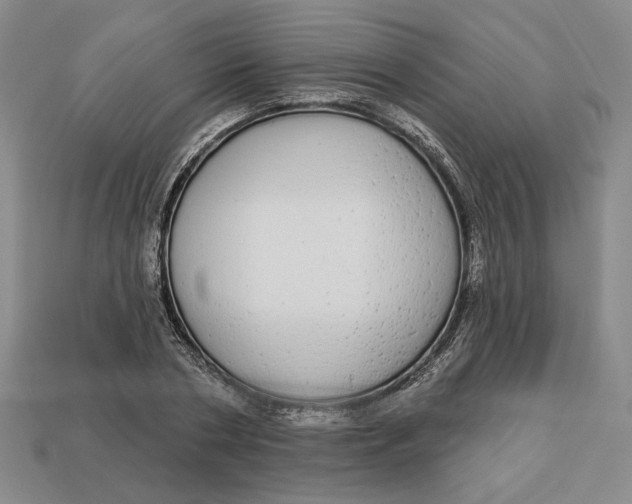 X0000112910786200909141250