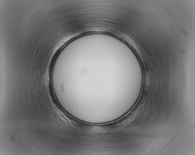 X0000112910787200909141250