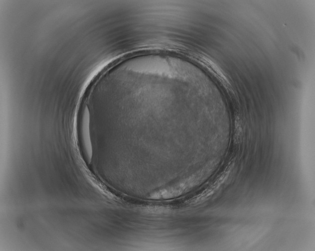 X0000112910788200909141250