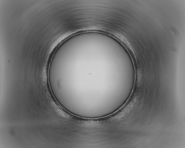 X0000112910789200909141250