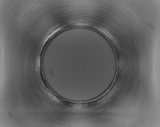 X0000112910790200909141250