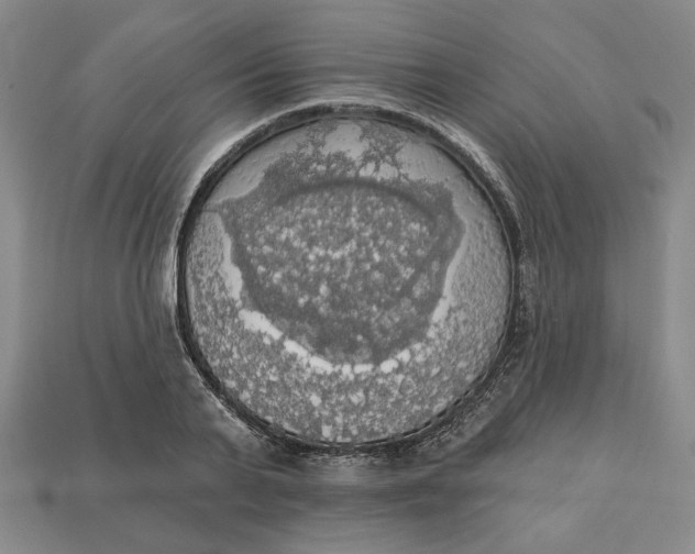 X0000112910791200909141250