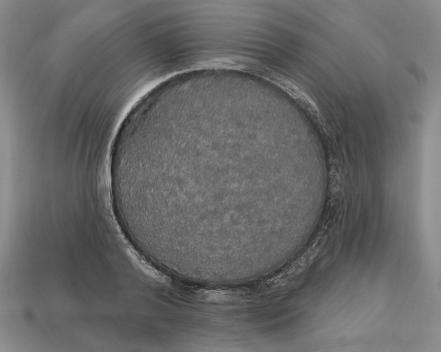 X0000112910792200909141250