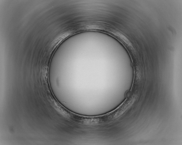 X0000112910793200909141250