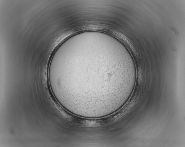 X0000112910794200909141250