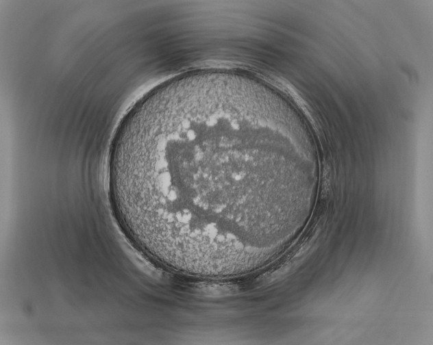 X0000112910795200909141250