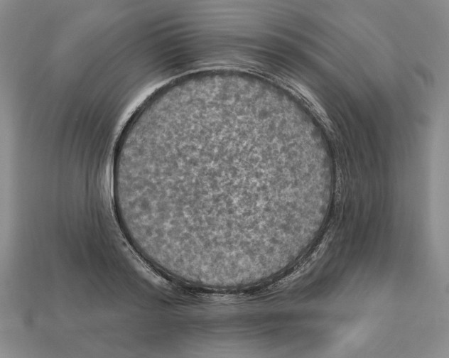 X0000112910796200909141250