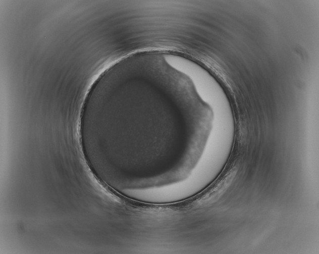 X0000112910797200909141250