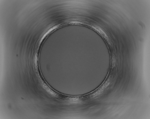 X0000112910798200909141250