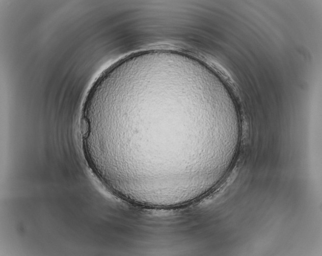 X0000112910800200909141250