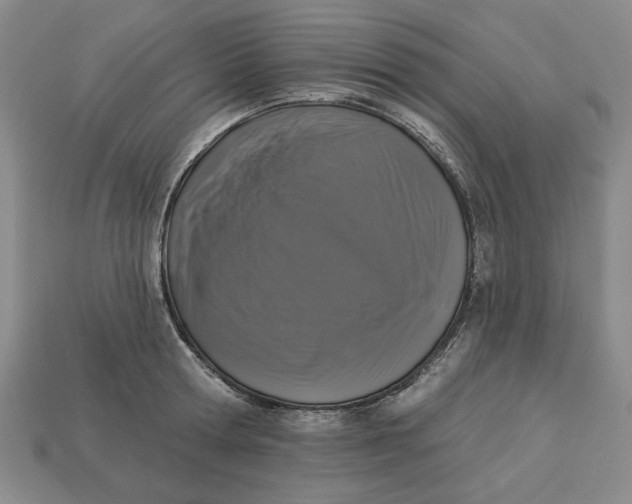 X0000112910802200909141250