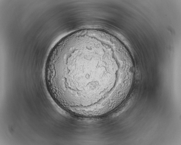 X0000112910803200909141250