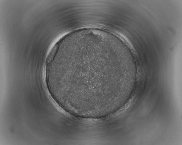 X0000112910804200909141250