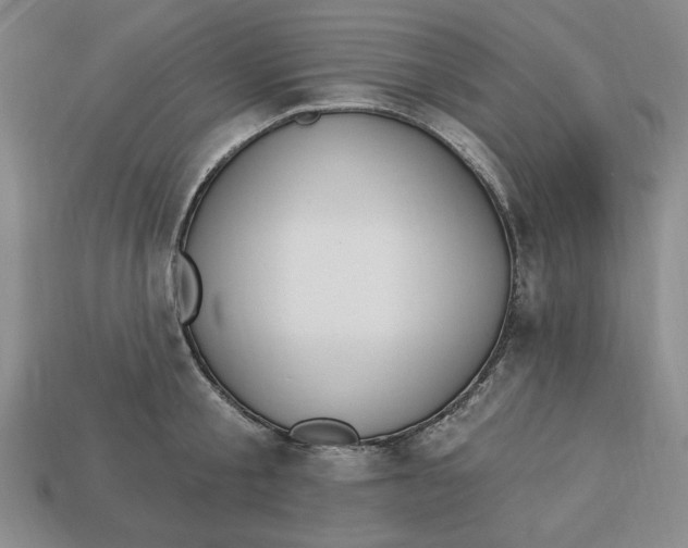 X0000112910805200909141250