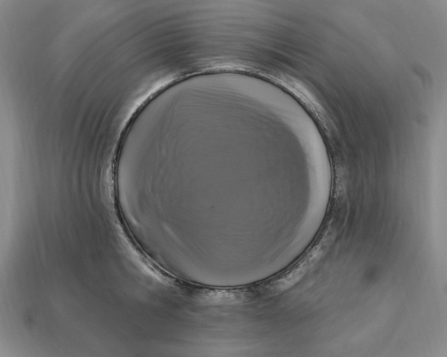 X0000112910806200909141250