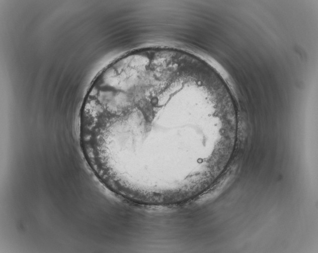 X0000112910807200909141250