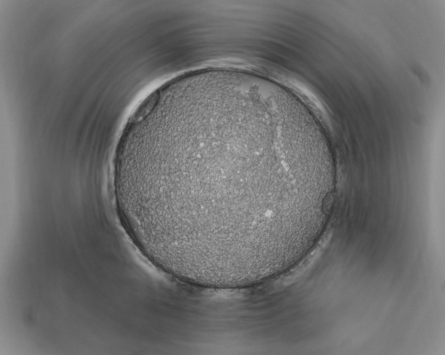 X0000112910808200909141250