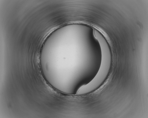 X0000112910809200909141250