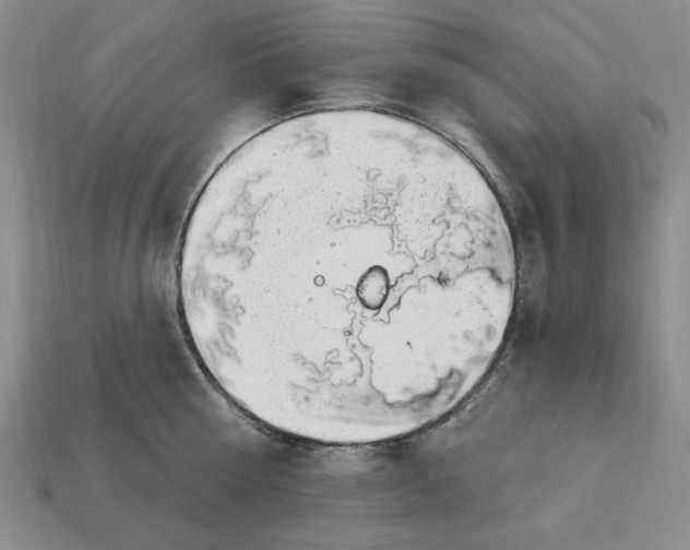 X0000112910810200909141250